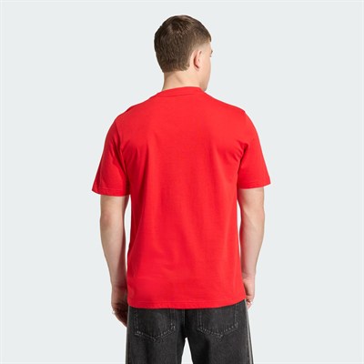 FEF DNA GR TEE