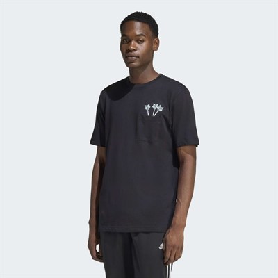 M NOV DART T