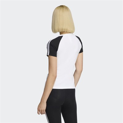 SST TEE