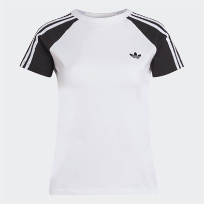 SST TEE