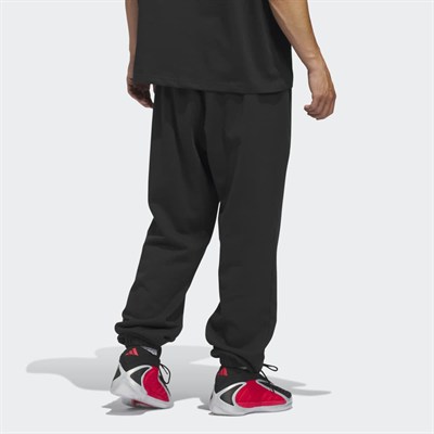ANTED FOUN PANT