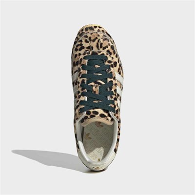 Japan Sneaker