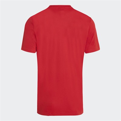 TUR OLP JERSEY