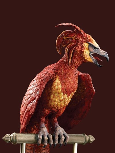 Fawkes the Phoenix
