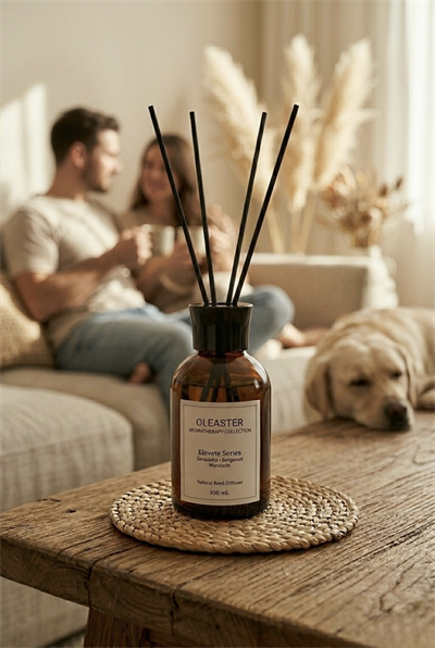CANLANDIRICI AROMATERAPİK ÇUBUKLU ODA KOKUSU 100 ML
