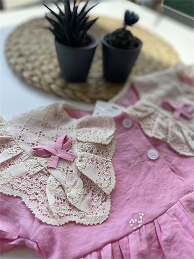 Kız Çocuk Dantel Yaka Detaylı Elbise Pembe