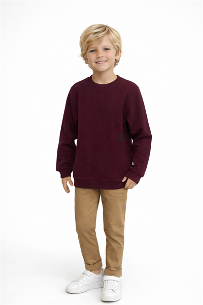 Bisiklet Yaka Nakışlı Sweat