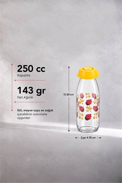 Sarina Desenli Cam Meyve Suyu ve İçecek Şişesi 250 cc