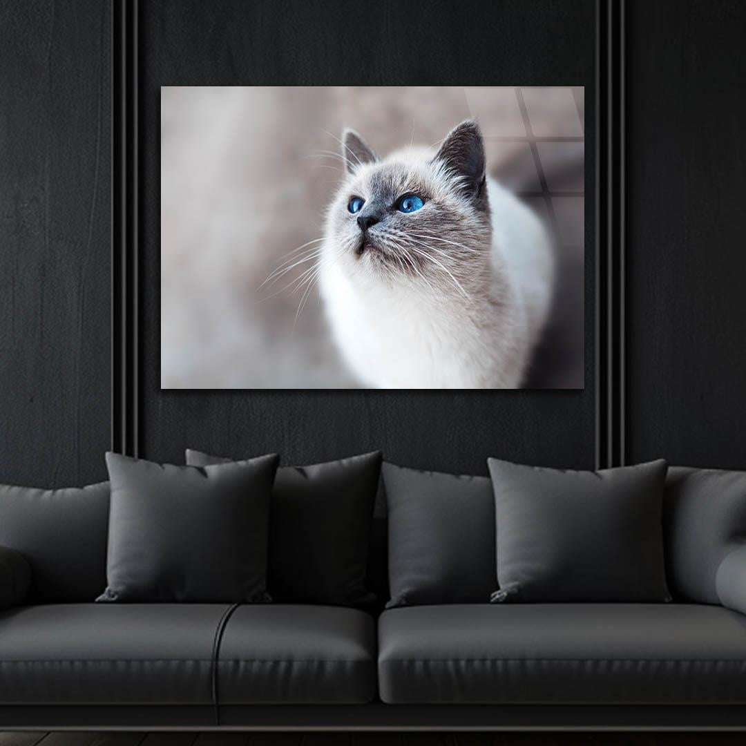 Tempered Glasss Wall Arts Art-Themed