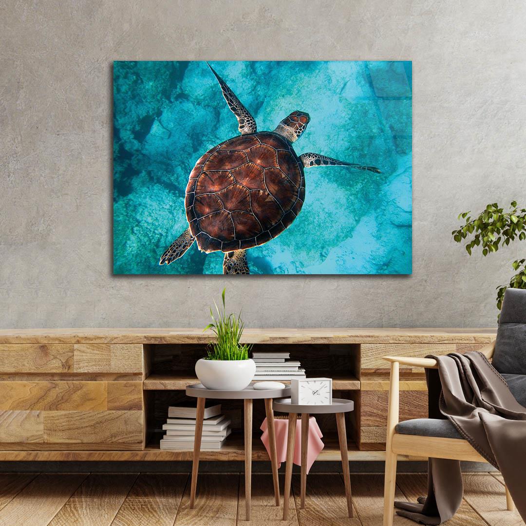 Tempered Glasss Wall Arts Art-Themed