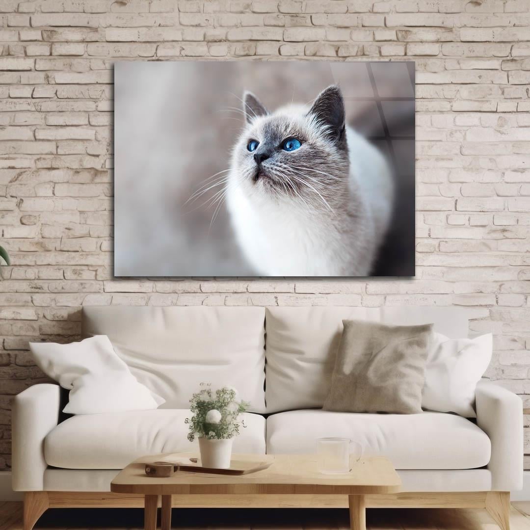 Tempered Glasss Wall Arts Art-Themed