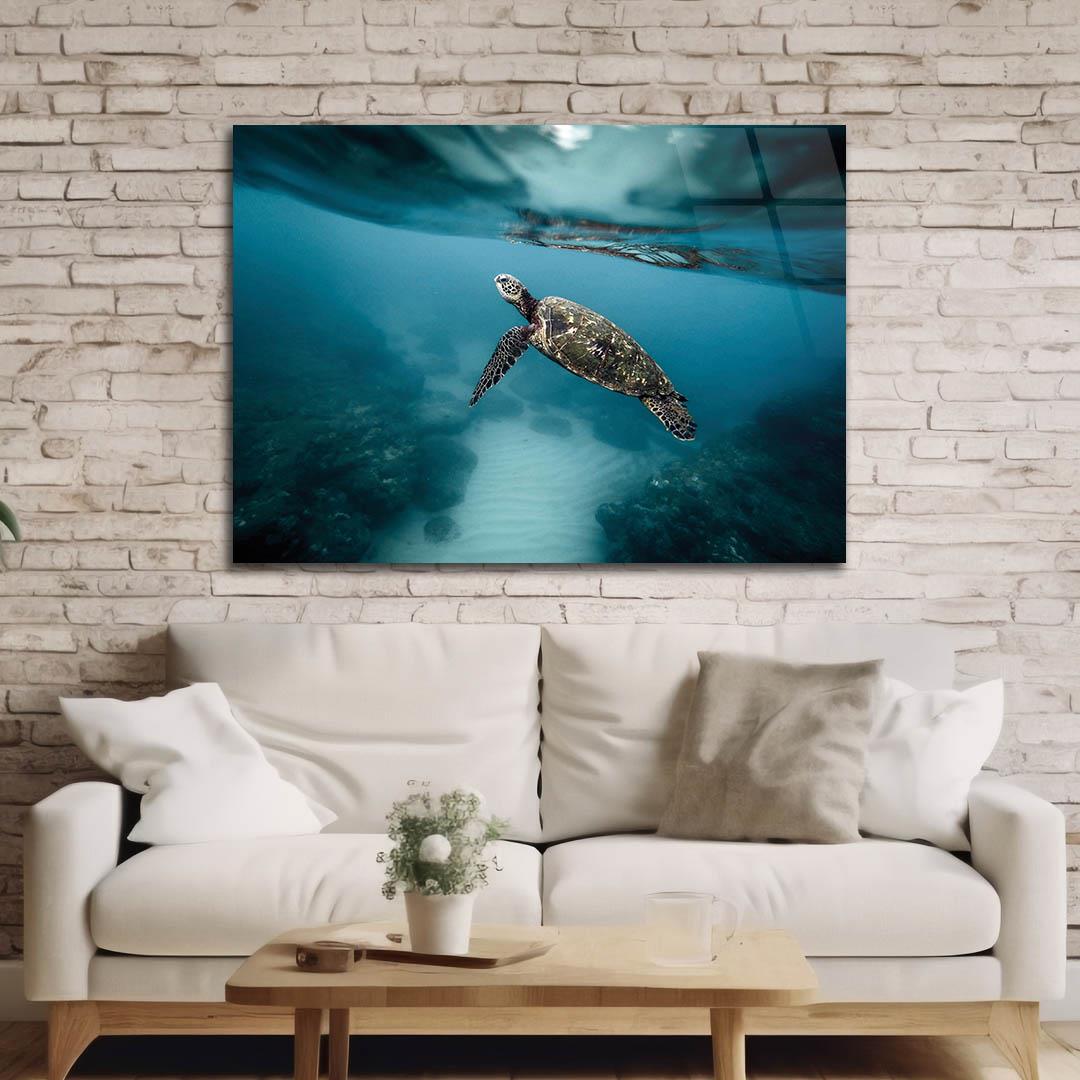 Tempered Glasss Wall Arts Art-Themed