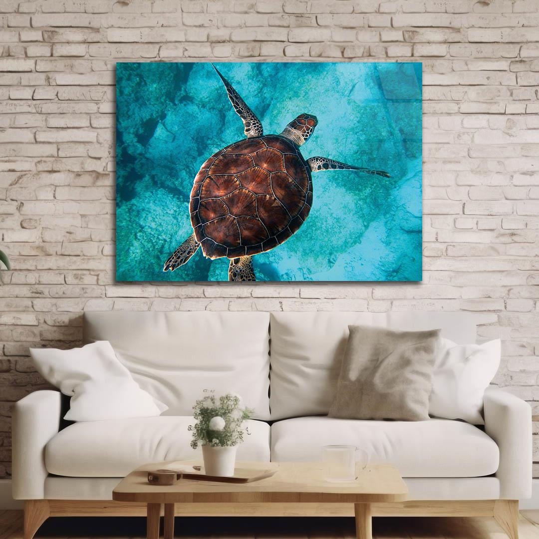 Tempered Glasss Wall Arts Art-Themed