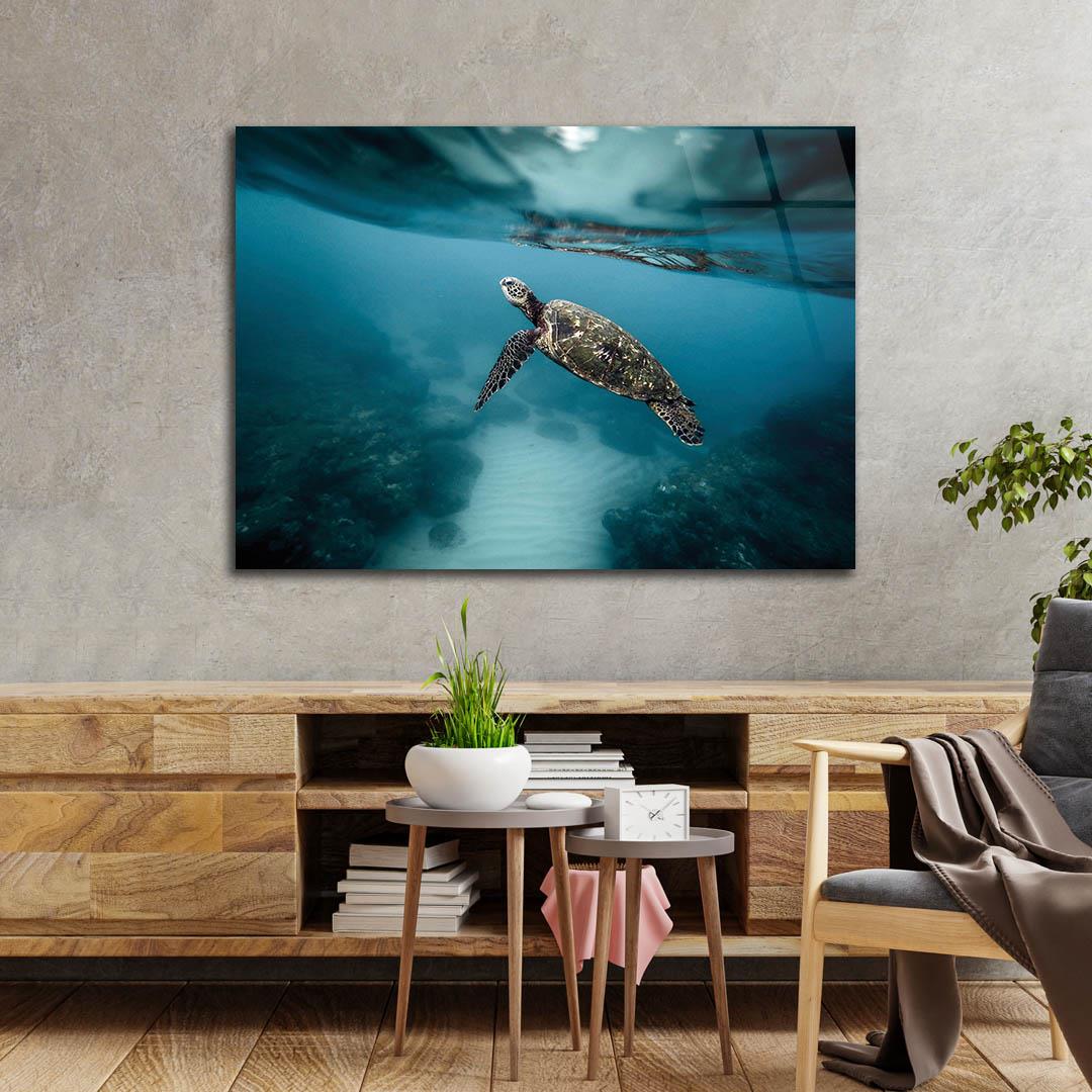 Tempered Glasss Wall Arts Art-Themed