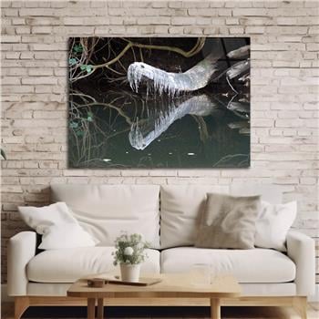 Tempered Glasss Wall Arts Natured-Themed