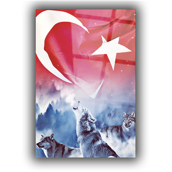 TÜRK BAYRAĞI VE KURT GÖRSELLİ CAM TABLO 