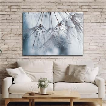 Horizontal Art-Themed Tempered Glass Wall Art 244