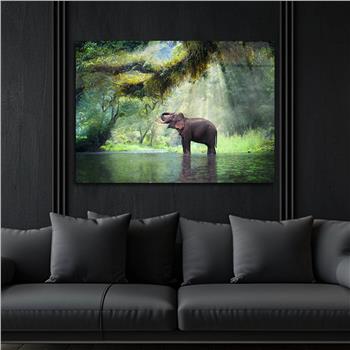 Tempered Glasss Wall Arts Natured-Themed