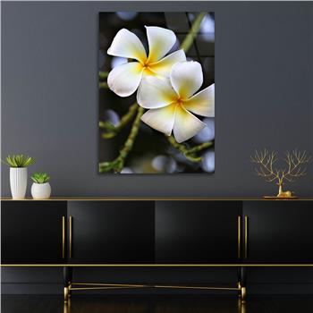 Tempered Glasss Wall Arts Art-Themed