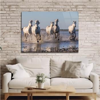 Horizontal Natured-Themed Tempered Glass Wall Art 263