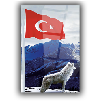 TÜRK BAYRAĞI VE KURT GÖRSELLİ CAM TABLO 