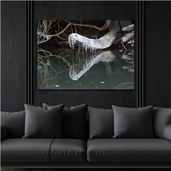Tempered Glasss Wall Arts Natured-Themed