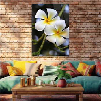 Tempered Glasss Wall Arts Art-Themed