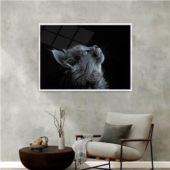 Aluminum-Framed Art-Themed Tempered Glass Wall Art 105