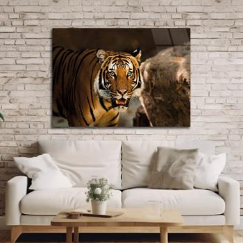 Tempered Glasss Wall Arts Art-Themed