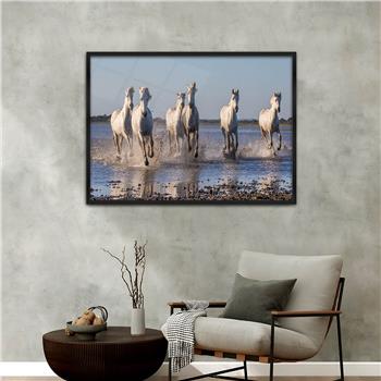Aluminum-Framed Natured-Themed Tempered Glass Wall Art 003