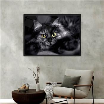 Aluminum-Framed Art-Themed Tempered Glass Wall Art 107