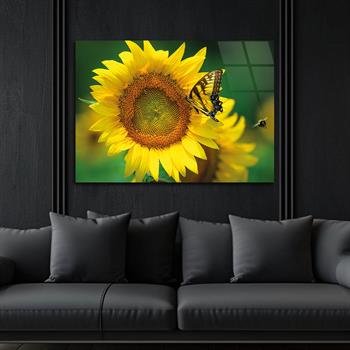 Tempered Glasss Wall Arts Art-Themed