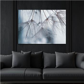 Horizontal Art-Themed Tempered Glass Wall Art 244
