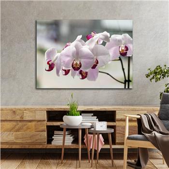 Horizontal Natured-Themed Tempered Glass Wall Art 313