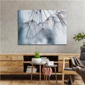 Horizontal Art-Themed Tempered Glass Wall Art 244