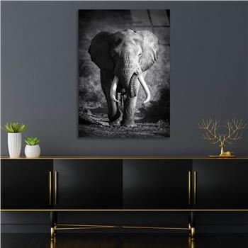 Tempered Glasss Wall Arts Art-Themed