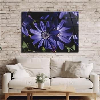 Yatay Sanat Temalı Cam Tablo 279