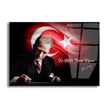 Yatay VatanTemalı Cam Tablo 134