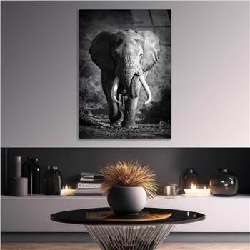 Tempered Glasss Wall Arts Art-Themed