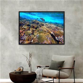 Aluminum-Framed Natured-Themed Tempered Glass Wall Art 098