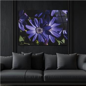 Yatay Sanat Temalı Cam Tablo 279