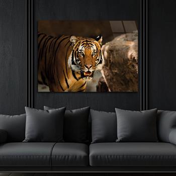Tempered Glasss Wall Arts Art-Themed