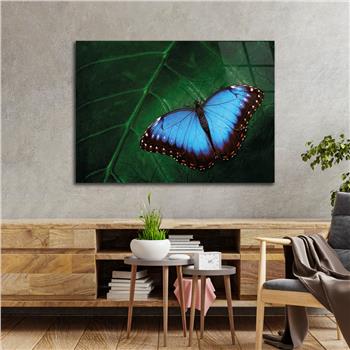 Tempered Glasss Wall Arts Natured-Themed