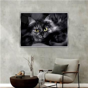 Aluminum-Framed Art-Themed Tempered Glass Wall Art 107
