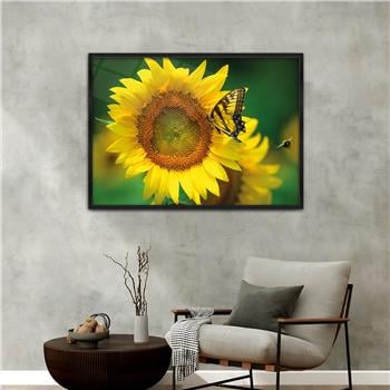 Aluminum-Framed Art-Themed Tempered Glass Wall Art 180