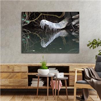 Tempered Glasss Wall Arts Natured-Themed