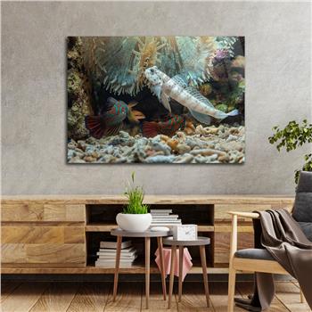 Horizontal Natured-Themed Tempered Glass Wall Art 314