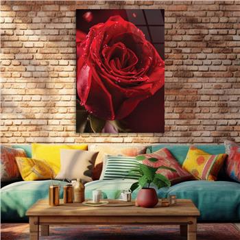 Red Rose Tempered Glass Wall Art