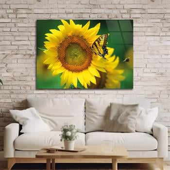 Tempered Glasss Wall Arts Art-Themed