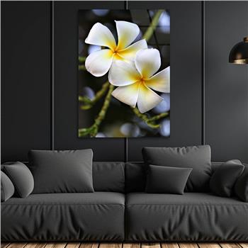 Tempered Glasss Wall Arts Art-Themed